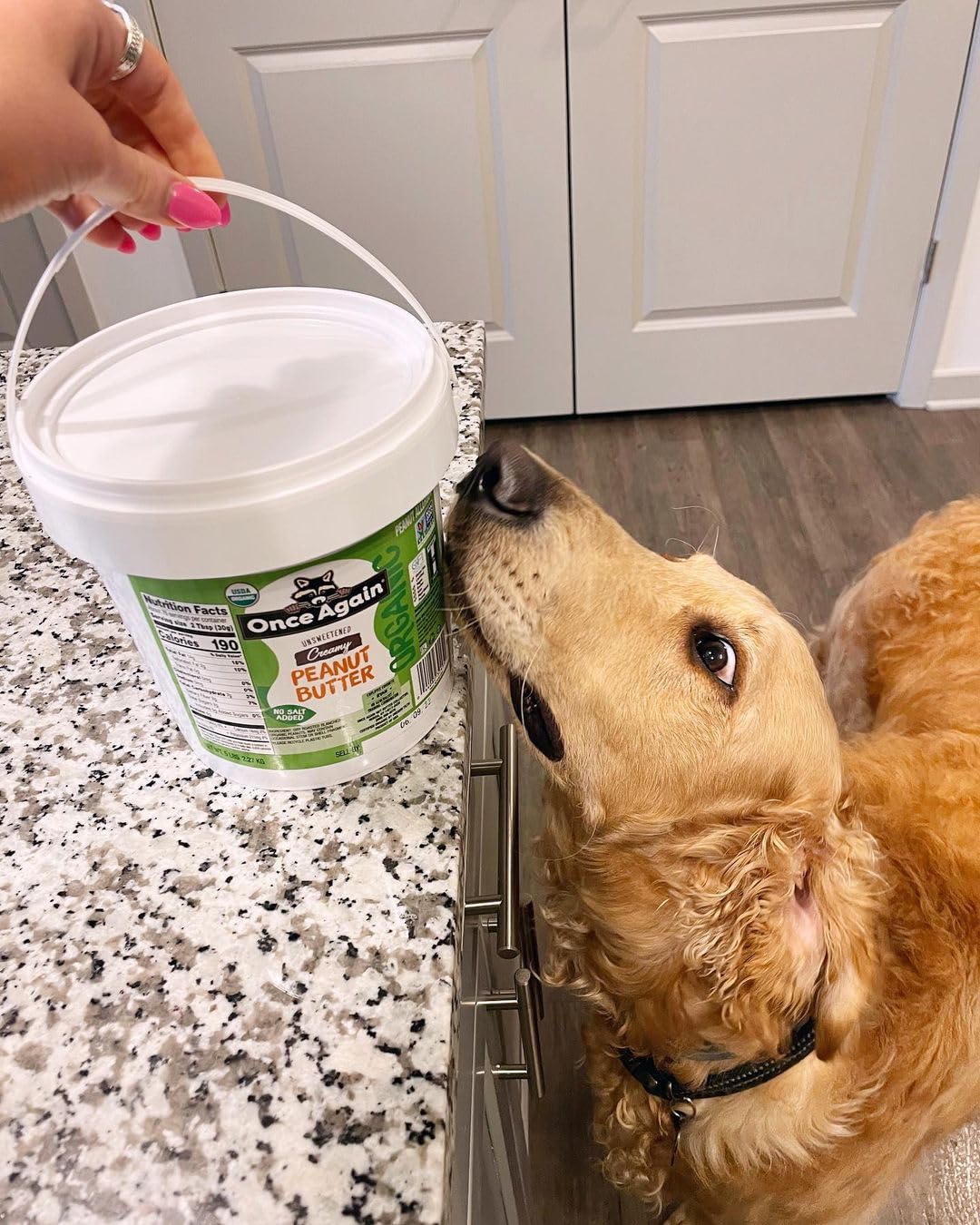 Once Again Organic Creamy Peanut Butter, 5lb Pantry Pal (same as 5 jars) - Salt Free, Unsweetened - USDA Organic, Gluten Free Ce