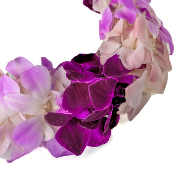 Misteen Gorgeous Orchids: Long-Lasting Leis Made Of Fresh Cut Purple, Lavender, And Pink Orchids, For Graduations, Party Decorat