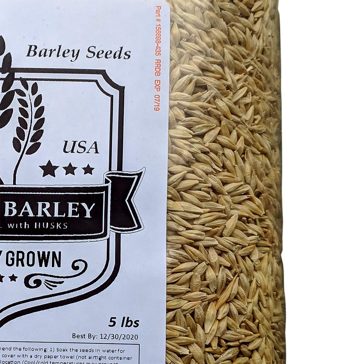 PowerGrow Systems Barley Seeds - All Natural Whole Barley for Juicing & Brewing, 5 Pounds, Light Brown