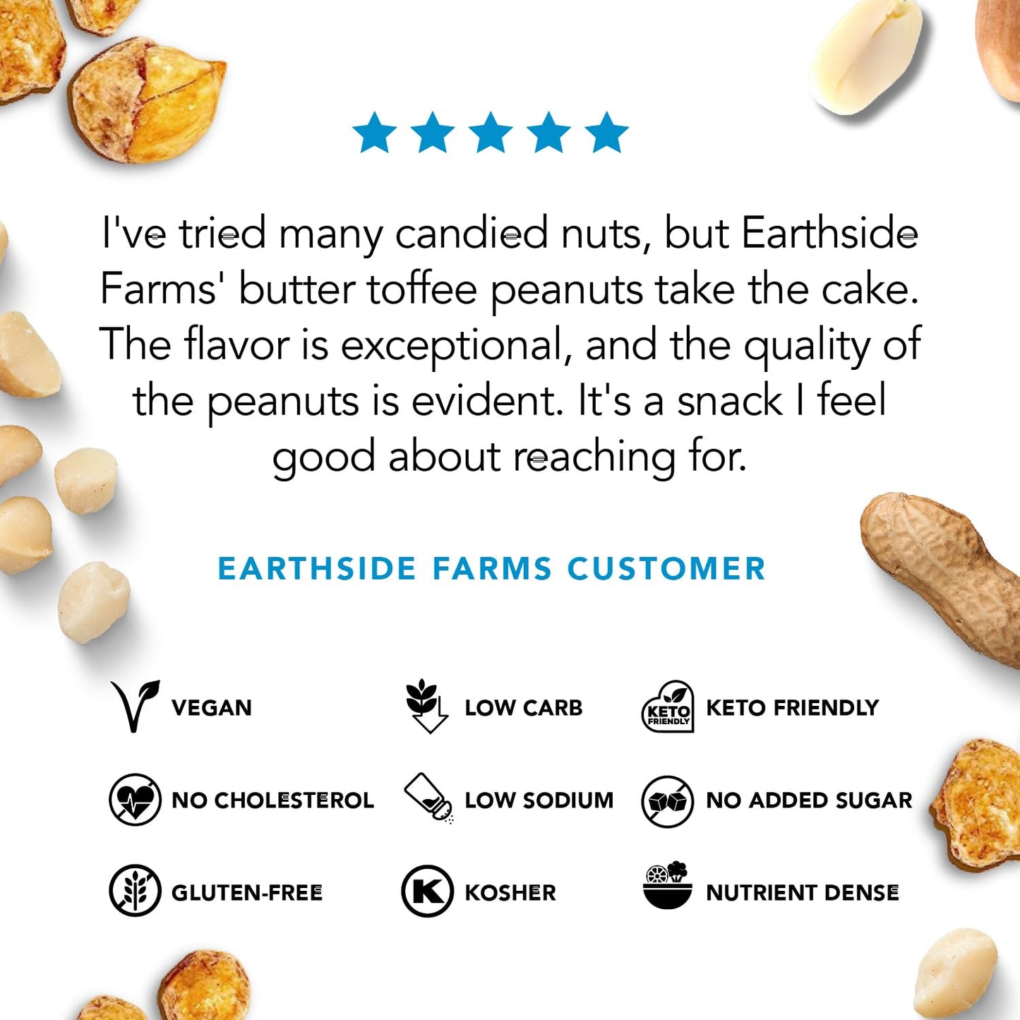 Earthside Farms Butter Toffee Peanuts, Candied Peanuts, Low Sugar Keto Snack, Non Gmo, Plant Protein, Vegan, Whole, Natural, Sup