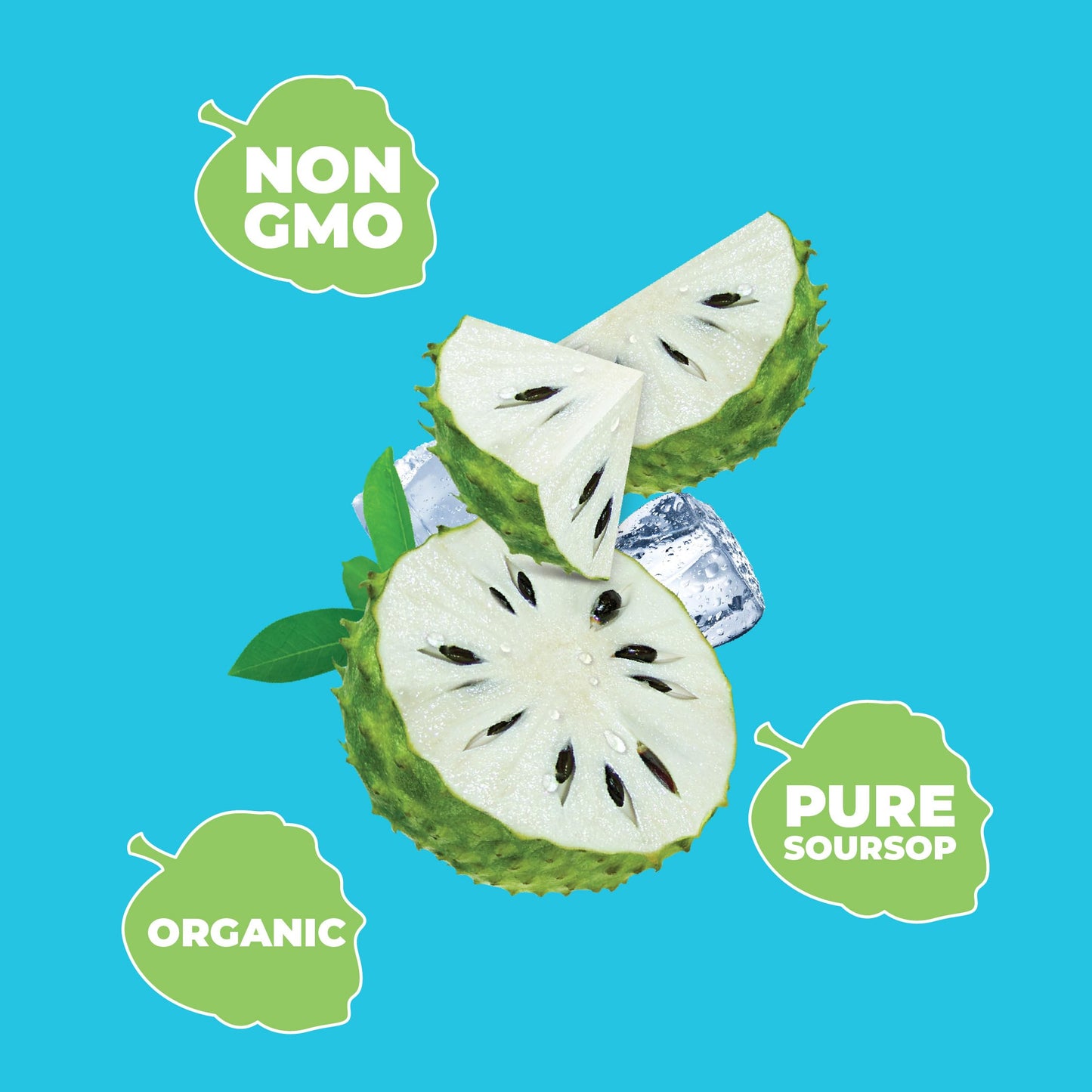 Soursop Juice with Pulp (Guanabana), 16.9 oz (Pack of 12) JANS | 100% Pure Soursop Graviola | NO Sugar Added, NOT From Concentra