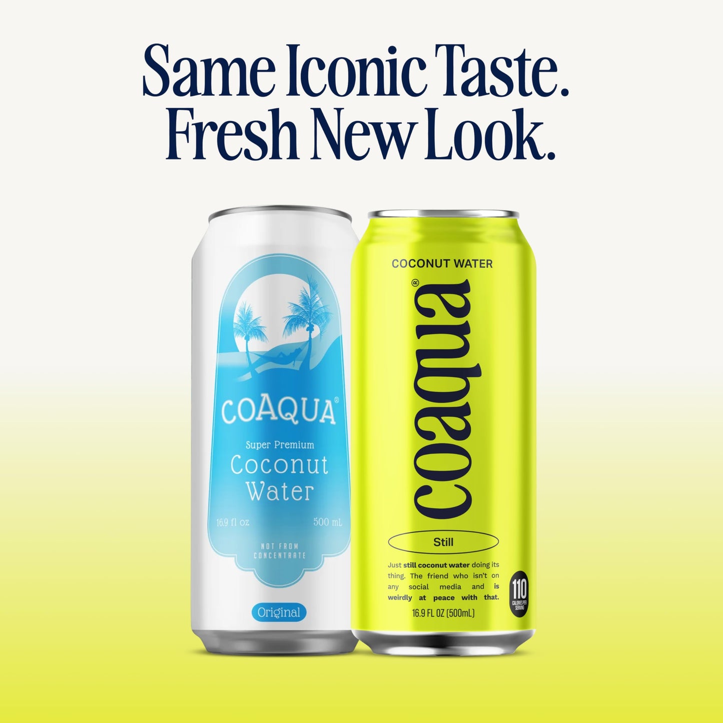 CoAqua Coconut Water - Natural Electrolyte Drink, 12 Pack, 16.9 Fl Oz Cans, Pure & Fat Free, Hydration Boost