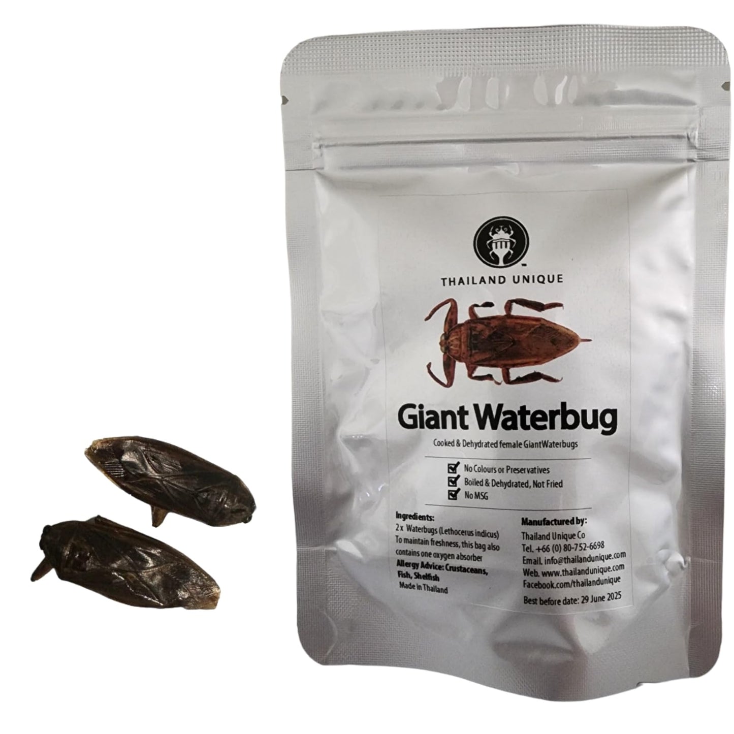 Thailand Unique Giant Waterbug Scorpions - 2 Pieces Of Dehydrated Edible Insects For Humans Nutritious Bugs Superfood Unusual Weird Snack Gift