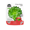 Gotham Greens, Salad Clam Green Leaf Crispy Conventional, 4.5 Ounce