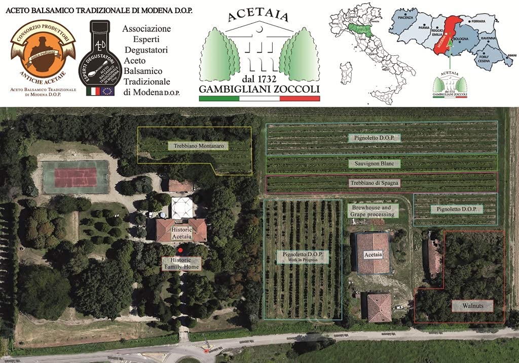 Dal 1732 Gambigliani Zoccoli Traditional Balsamic Vinegar, Extra Old, 3.38 Fl Oz, Aged over 25 Years, Packaged with Measuring Cap