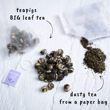 Teapigs Jasmine Pearls Tea Bags Made With Whole Leaves, 15 Count (Pack Of 1)