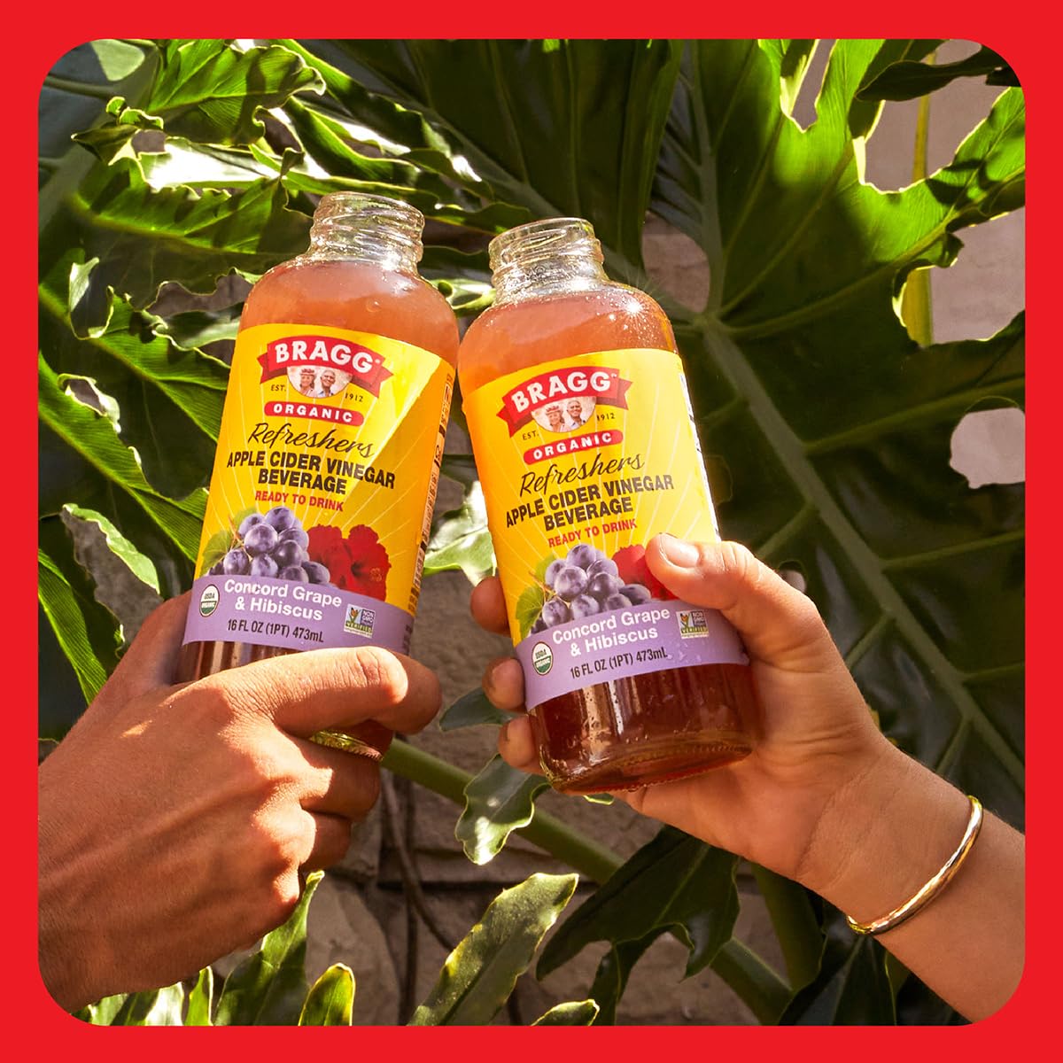 Bragg Organic Apple Cider Vinegar Beverage, Concord Hibiscus, 16 Fl Oz (Pack of 2)