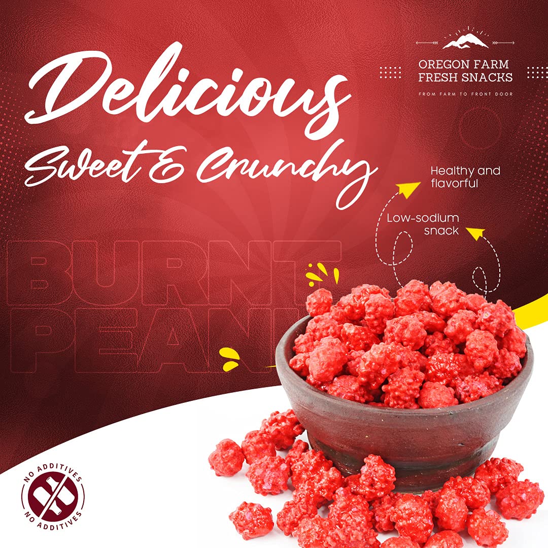 Oregon Farm Fresh Snacks French Burnt Peanuts - Classic Old Fashioned Sweet and Salty Crunchy Red Candy Spanish Snack Enriched w