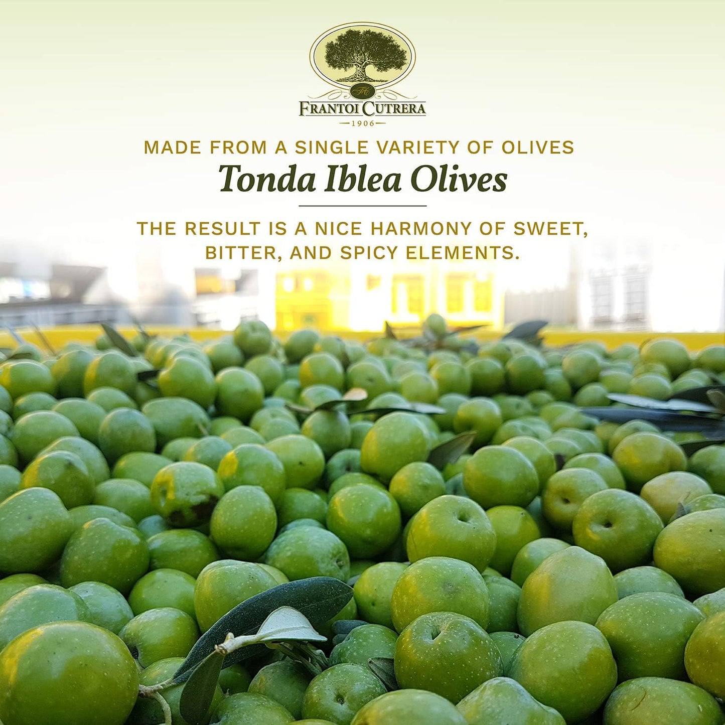 Frantoi Cutrera Primo Cold Extracted Italian Extra Virgin Olive Oil Cold Pressed, Polyphenol Rich Olive Oil, Authentic Certified