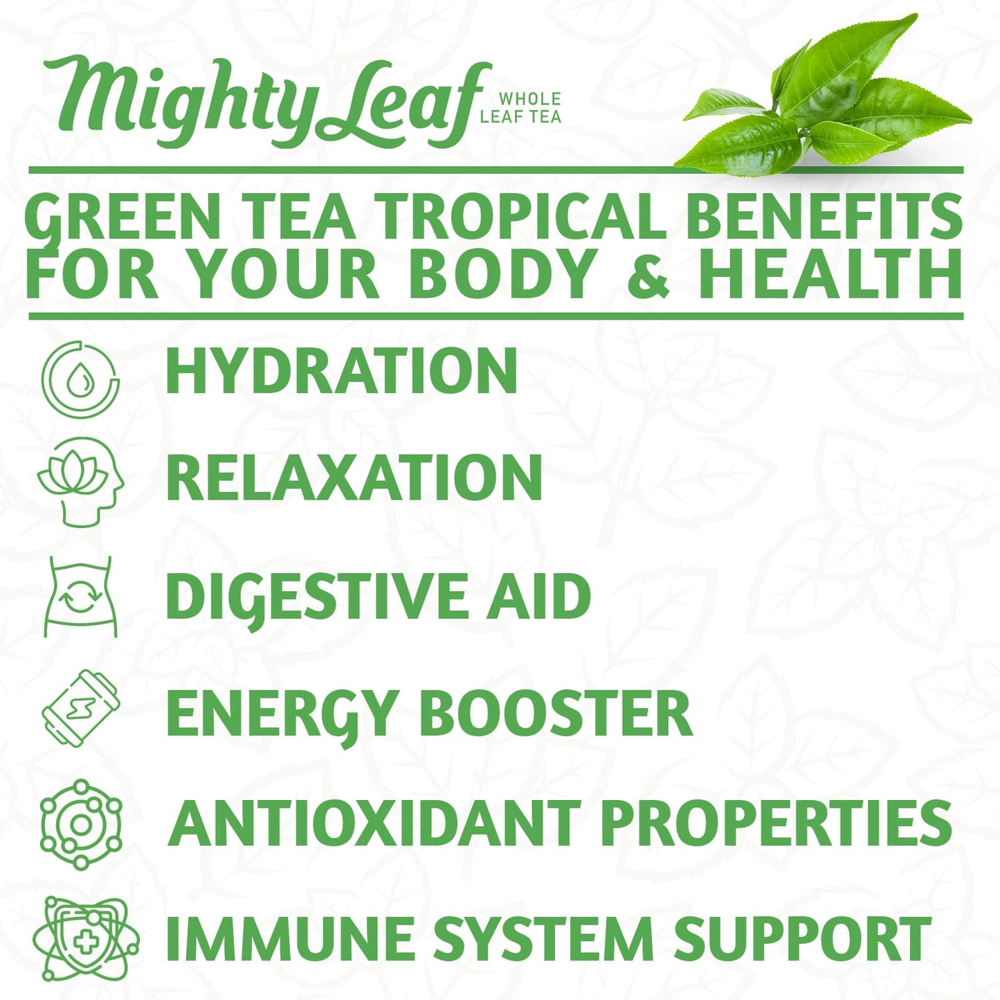 Mighty Leaf Green Tea Tropical 100 Count - Premium Loose Leaf Tea, Refreshing Flavor