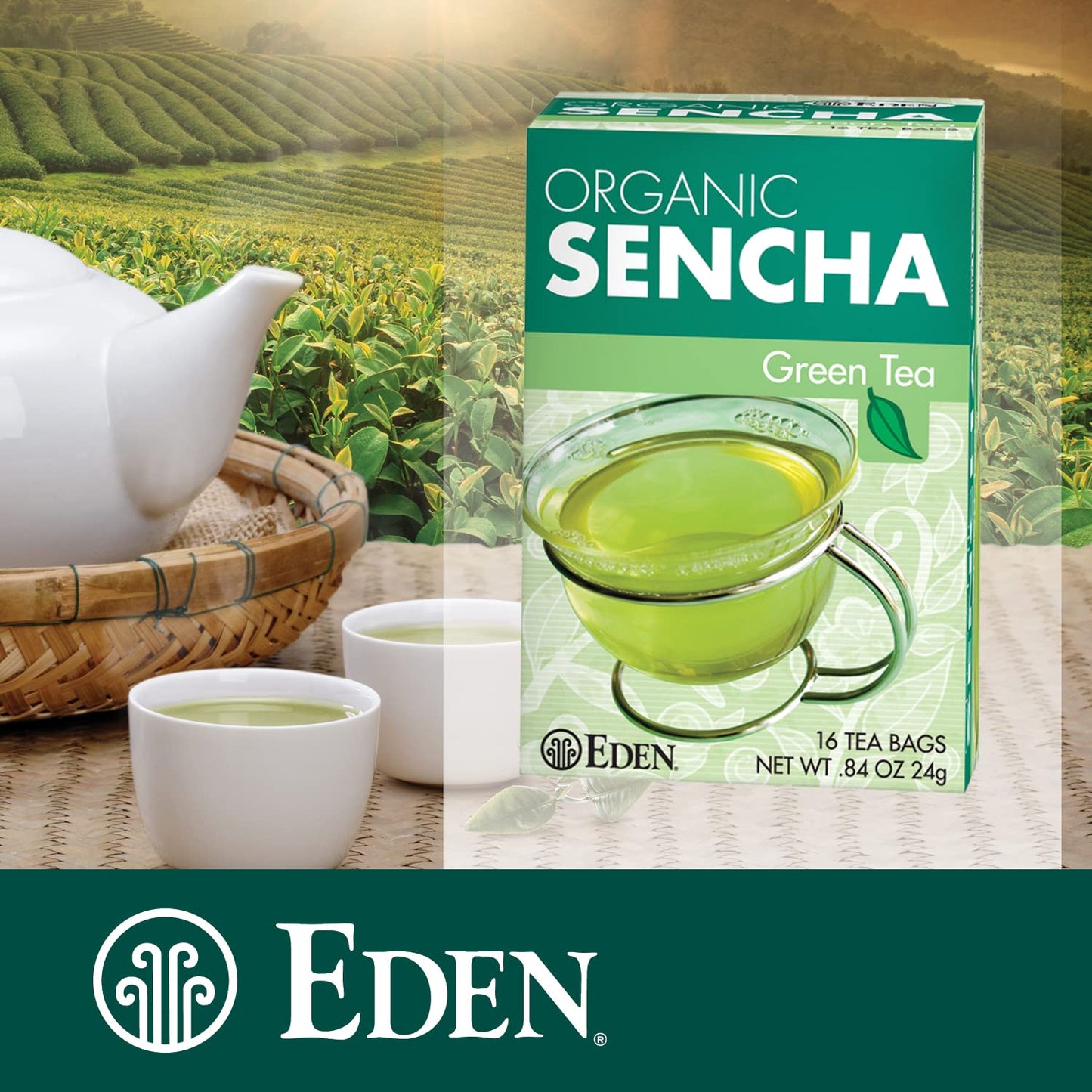 Eden Organic Sencha Green Tea, Japanese, Uji Cha, 16 Unbleached Manila Tea Bags/Box (12-Pack Case)