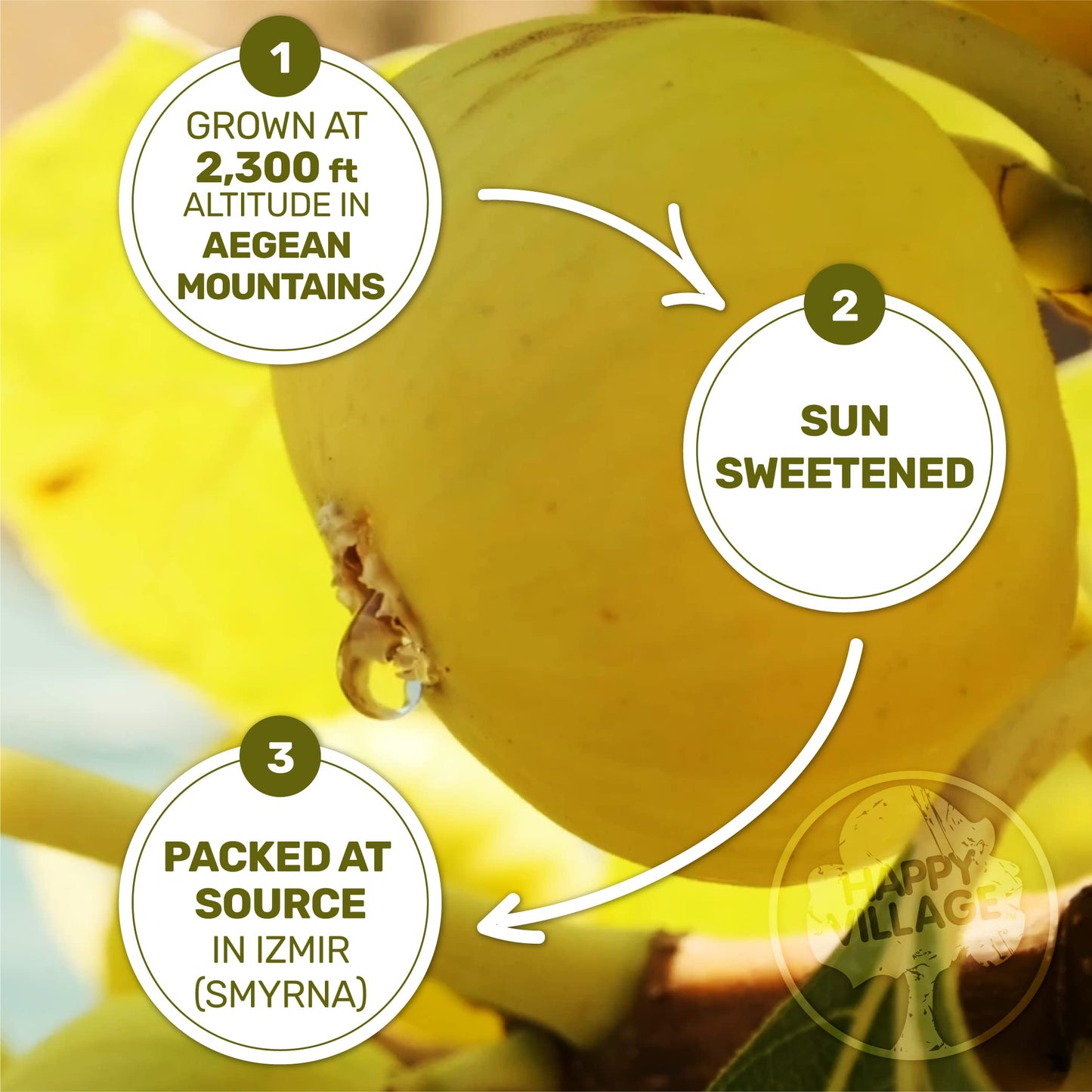 Happy Village Organic Turkish Dried Figs, No Sugar Added Dried Fruit, 40 Oz Resealable Pack - Kosher, Non-Gmo, Unsweetened, Unsulfured, Vegan, Sun-Dried Organic Figs