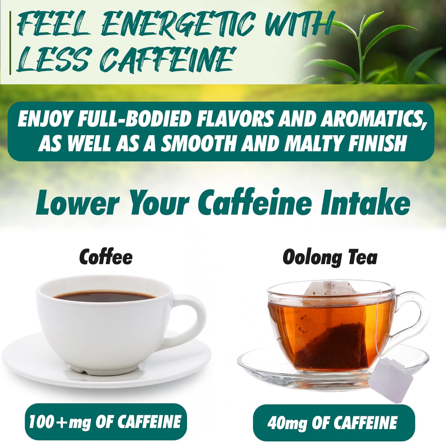 Fusion Select Organic Oolong Tea Bags - Smooth, Mildly Sweet Flavor - Healthy, Relaxing, Fresh Herbal Drink - Instant, Just Stee