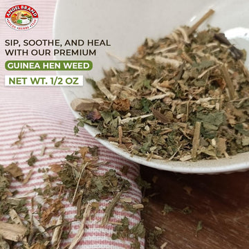 Angel Brand Guinea Hen Leaves Tea - 0.5 Oz Pouch Pack Of 3 Sourced From Lush Tropics, Discover Potent & Versatile Qualities Of O