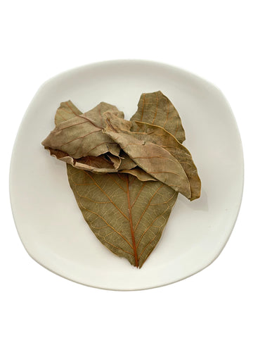 Avocado Leaves 28 Grams, Hojas De Aguacate 28 Gramos, Hojas De Palta Secas, Avocado Leaf Tea, Resealable Bag, Product Of México