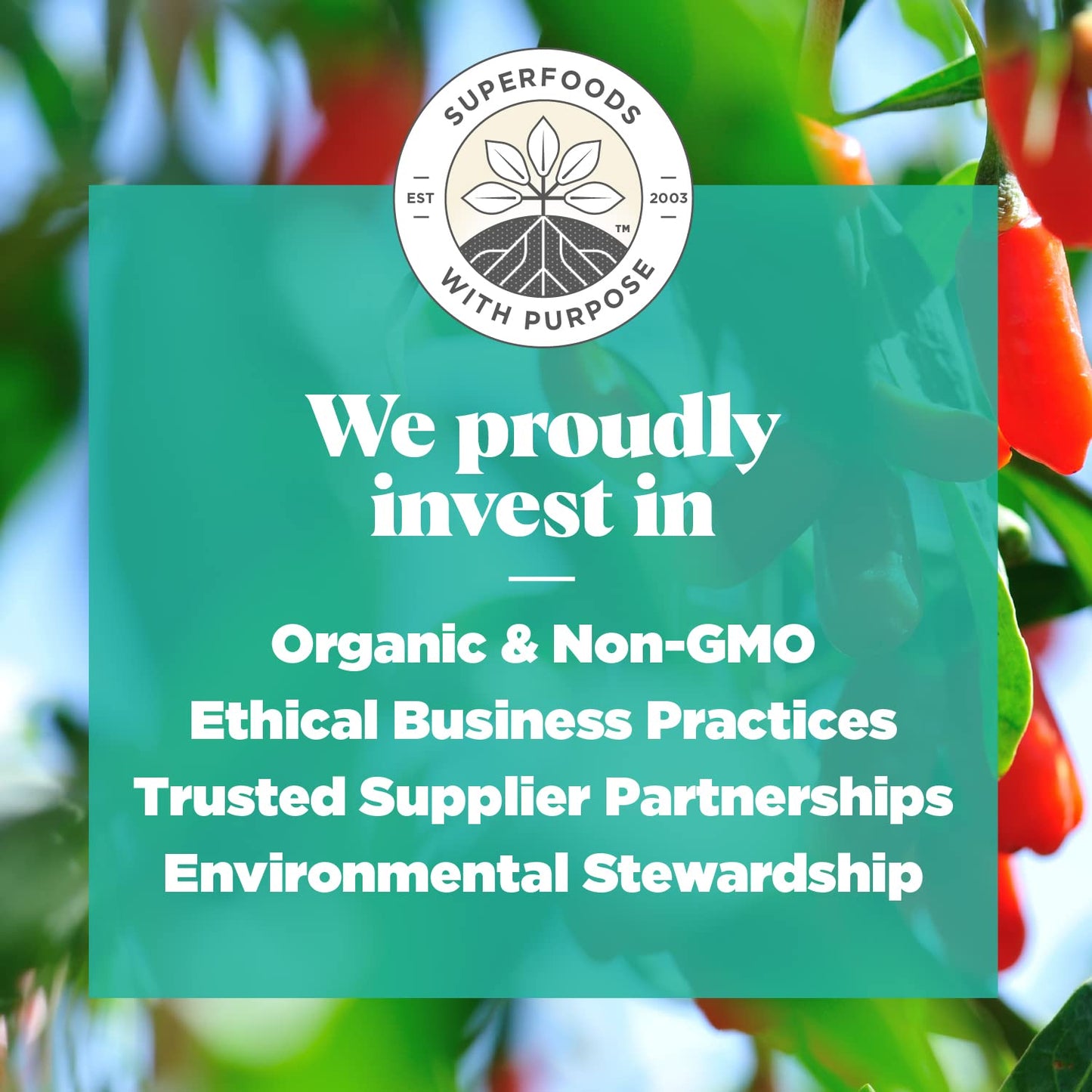 Navitas Organics Goji Berries, 16 Ounce. Bag, 15 Servings Organic, Non-Gmo, Sun-Dried, Sulfite-Free