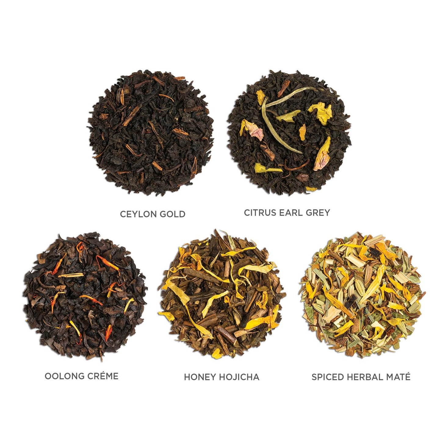 Tea Forte Frank Lloyd Wright Presentation Box Tea Sampler Gift Set, 20 Assorted Variety Handcrafted Pyramid Tea Infuser Bags