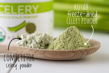 KOYAH - Organic USA Grown Celery Powder (1 Scoop = 1/2 Cup Fresh): 22 Servings, Freeze-dried, Whole-Stalk Powder