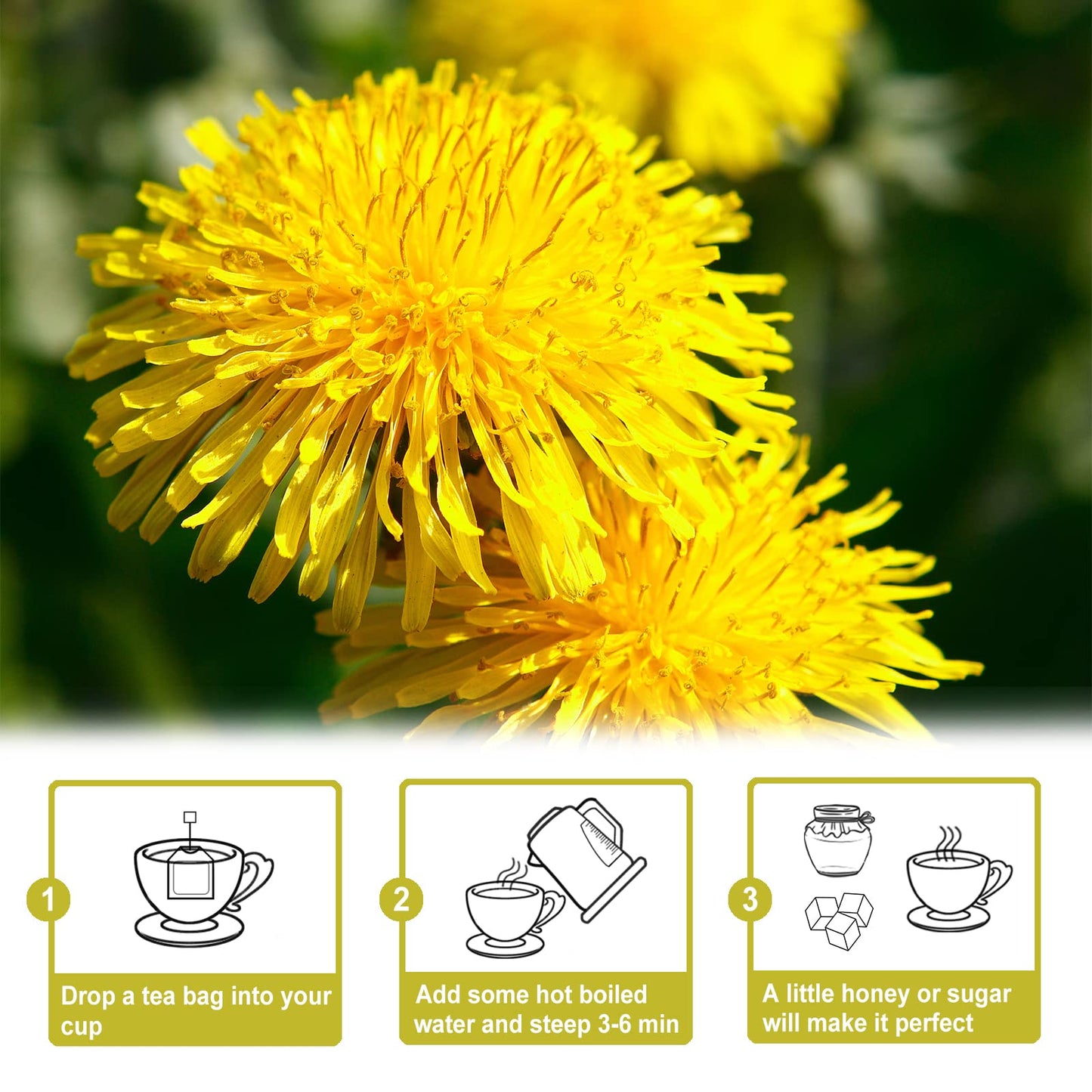 TEARELAE Dandelion Root Tea Bags - Caffeine Free Herbal Tea - 2.5g x 50 Count - Mellow Flavor, Boosts Immunity & Cleanse
