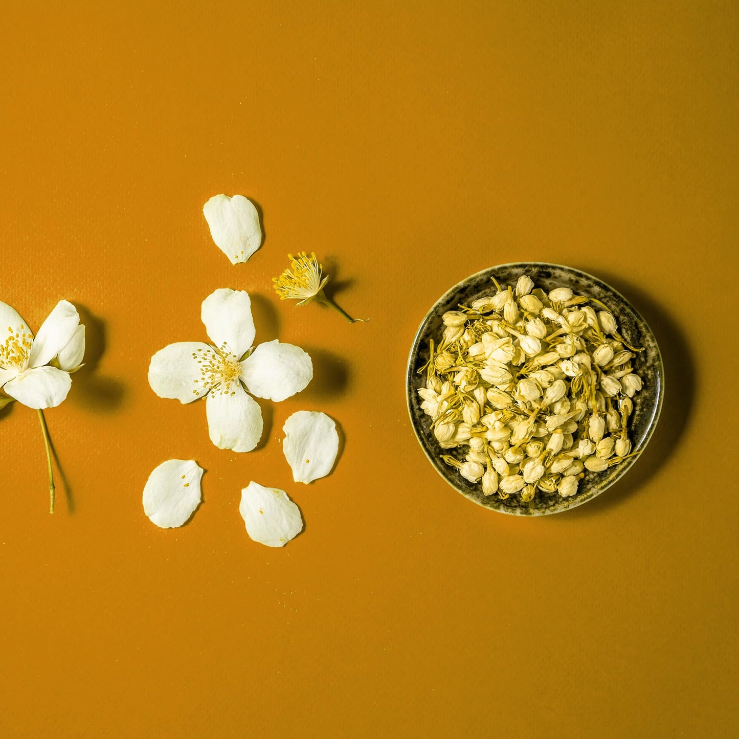 Jovvily Jasmine Floral Buds - 4oz - Herbal Tea - Sweet Aroma