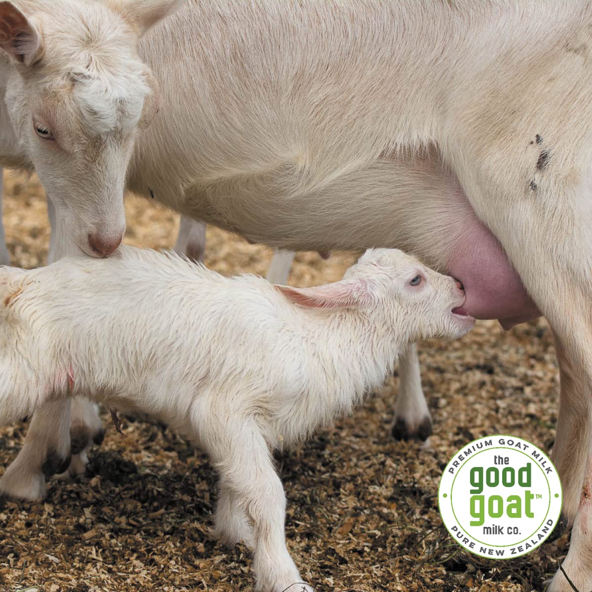 New Zealand Full Cream Goat Milk Powder (Natural) - 14Oz