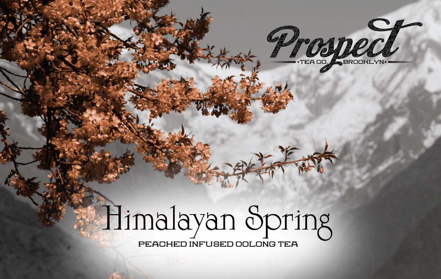Prospect Tea Co. Oolong Tea Pods Compatible with K Cup malt-inspired, 40 Count, Model PTC HS40