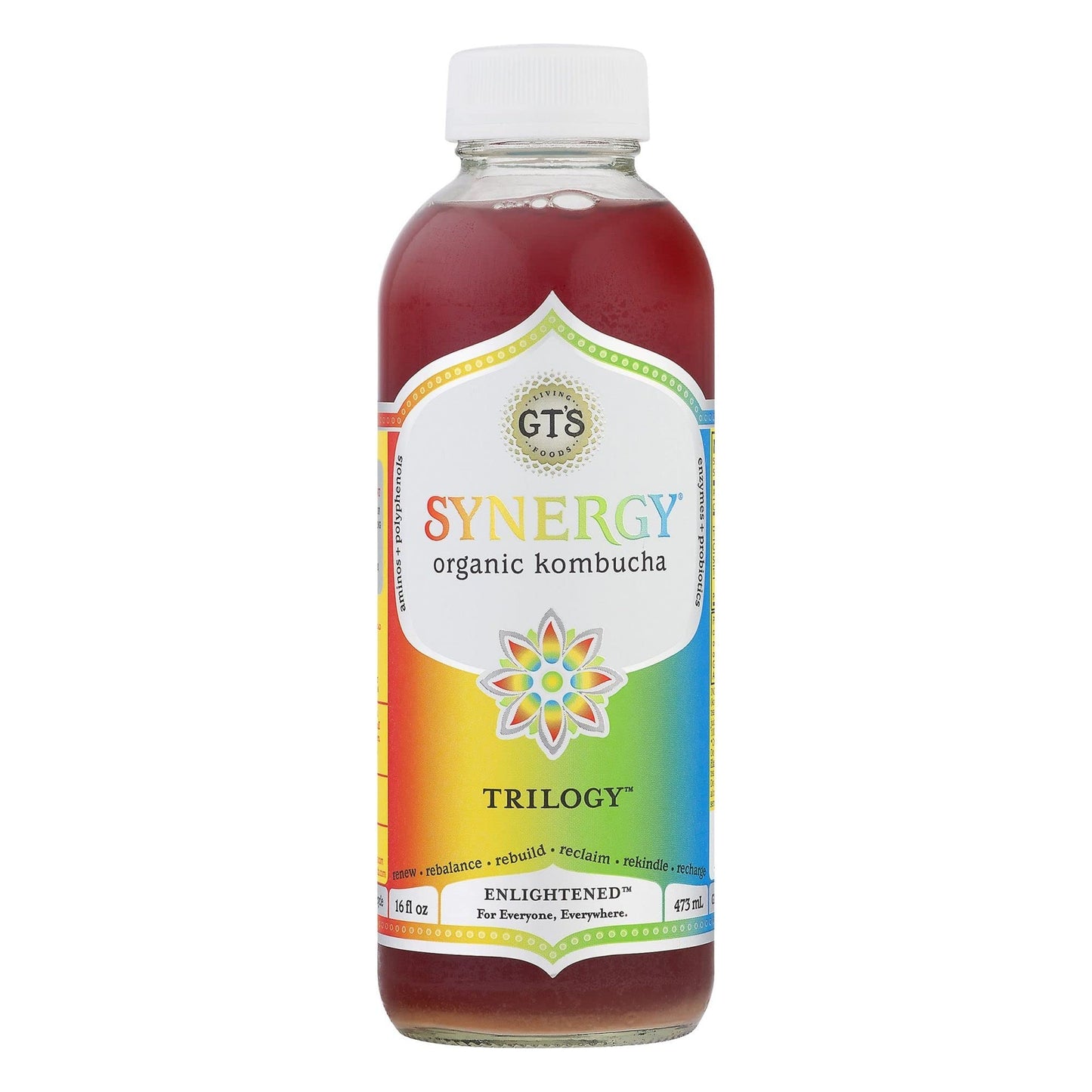 GTS LIVING FOODS Trilogy Enlightened Kombucha, 16 FZ