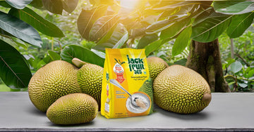 Jackfruit365 Green Jackfruit Flour | Helps in Blood Sugar Control | Organic Low Glycemic | 400g (Pack of 1)