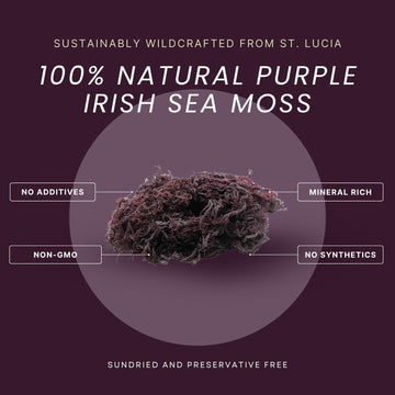 Reds Kitchen Sink Purple Sea Moss | 100% Natural Wildcrafted | 16oz