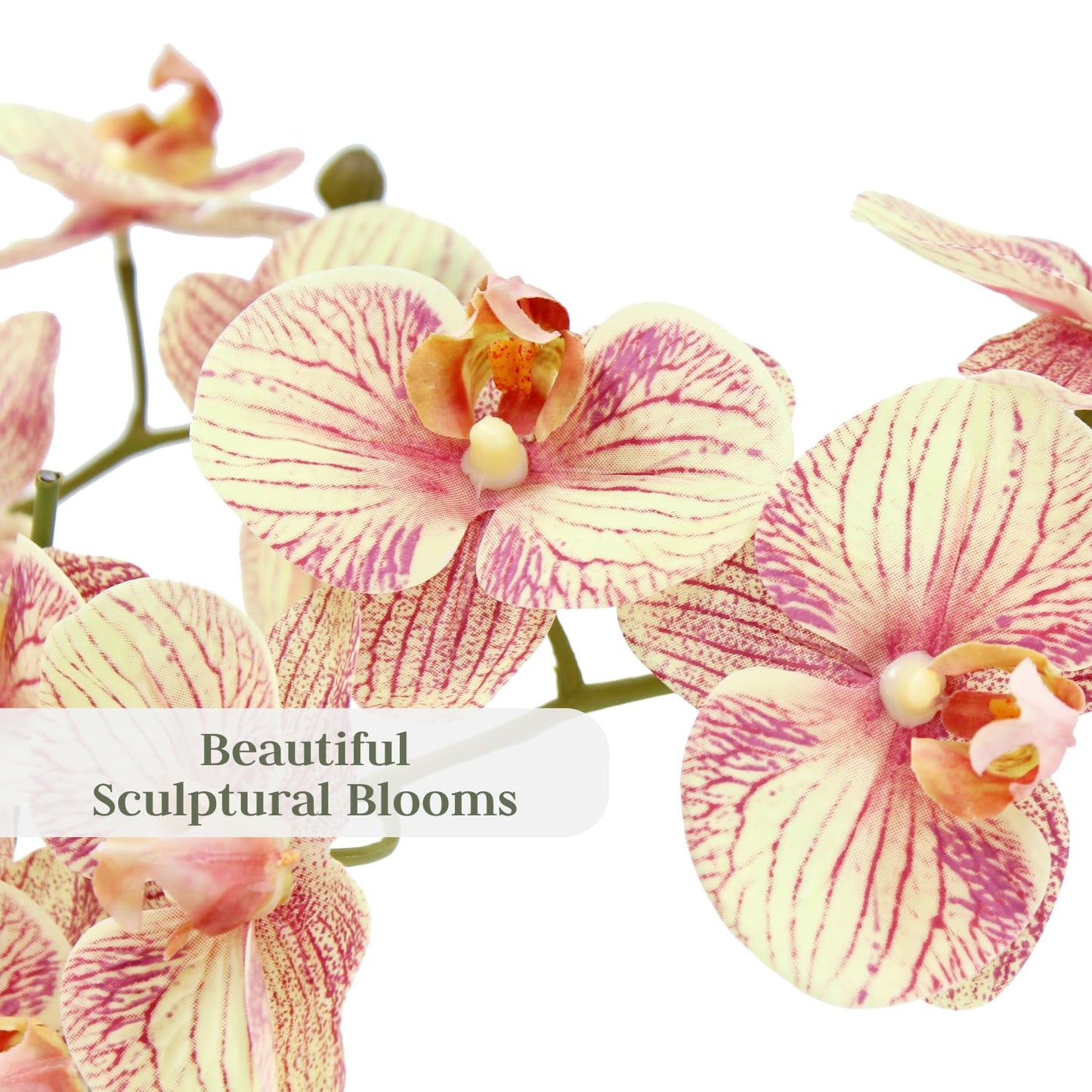 Cg Hunter Faux Orange Orchid Plant, Premium Artificial Indoor Flower Display Stands 23   , Beautiful Sculptural Blooms That Last