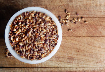 Shiloh Farms Heirloom Organic Hulless Purple Barley - Whole Grain - 16 Ounce Bag (Pack Of 2) - One Of The Most Nutritious Grains