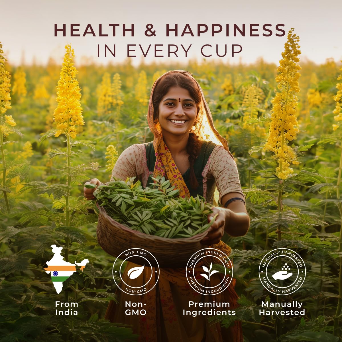 Gya Tea Co Senna Herbal Tea Pod (16 Ct) - Decaf Senna Leaf Tea For Constipation Relief & Bloating