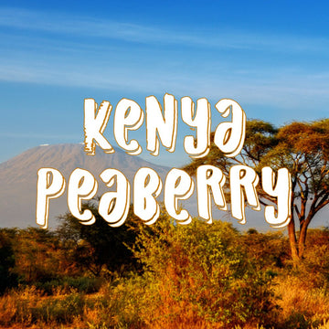 Kenya Peaberry Coffee, Whole Bean, Gourmet Coffee Beans, Single Origin, Fresh Roasted, 5 Lbs
