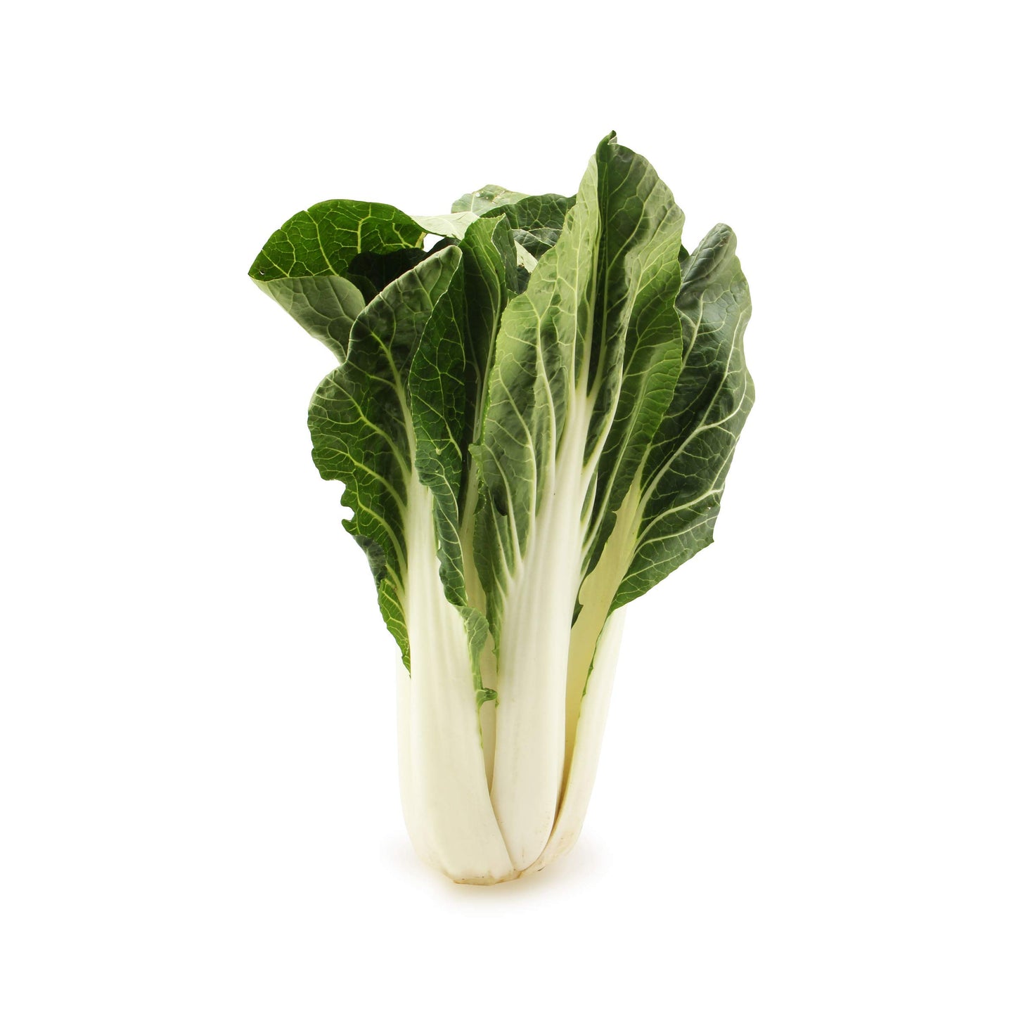 Organic Bok Choy, One Head