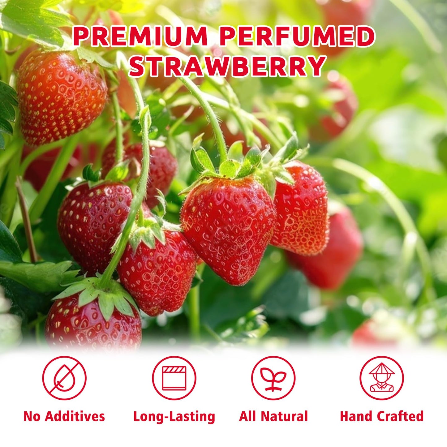 Whole Freeze-Dried Strawberries - 16 Oz / 1 Lb / 454G | Single-Ingredient | Select Harvest Freeze-Dried Fruit In Bulk | No Sugar
