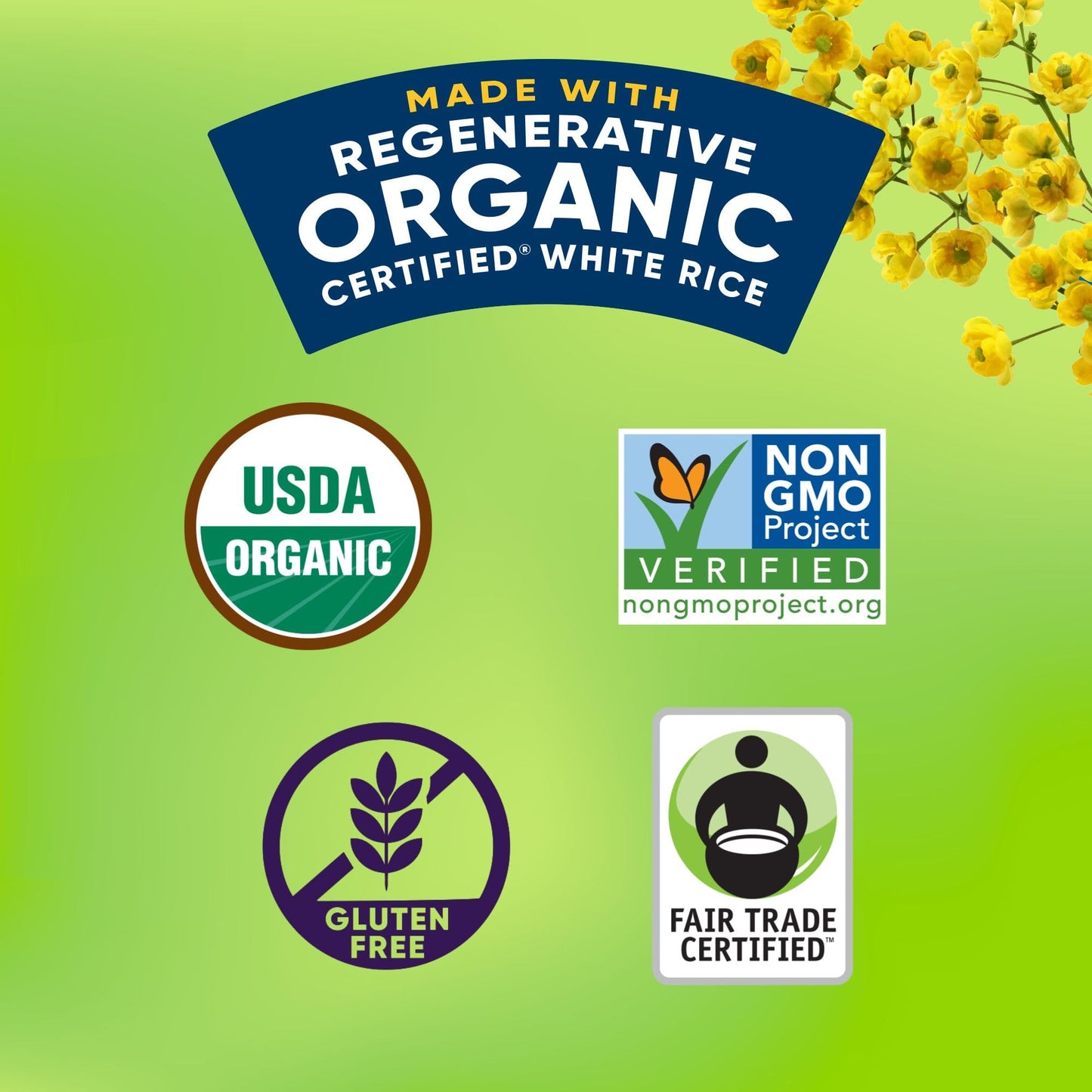 Lundberg Cilantro Lime White Jasmine Rice, Microwave Or Stovetop, 6-Pack – Lightly Seasoned, Ready In 90 Seconds, Regenerative Organic Certified, 8 Oz Ea