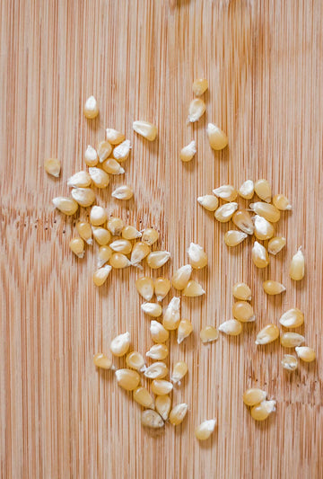 Amish Country Popcorn | 50 Lb Bag Ladyfinger Kernels | Old Fashioned, Non-GMO and Gluten Free (50lb Bag)
