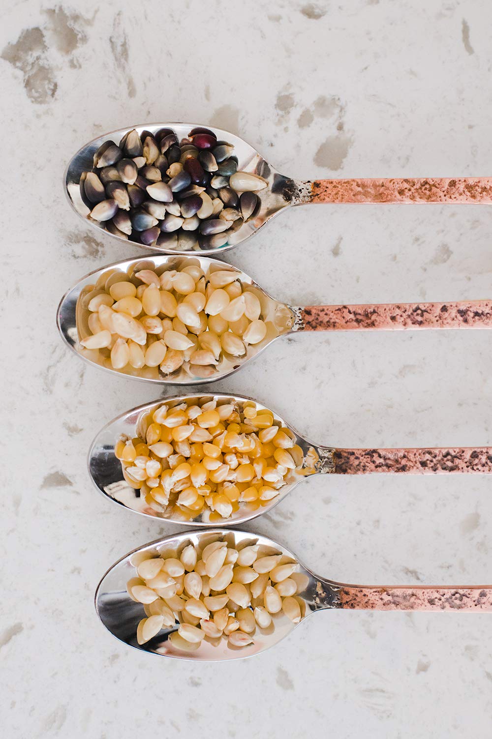 Amish Country Popcorn | 4-1 Lb Bags | Variety Pack | 1 Lb Baby White -1 Lb Medium White - 1 Lb Ladyfinger And 1 Lb Midnight Blue