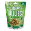 Fresh gourmet crispy Dillies Pickle Flavored Fried cucumbers
