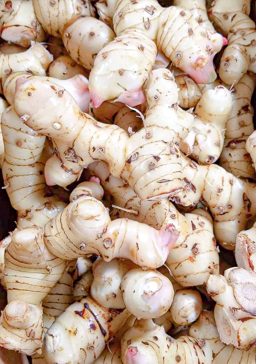 Fresh Galangal From Hawaii (1)