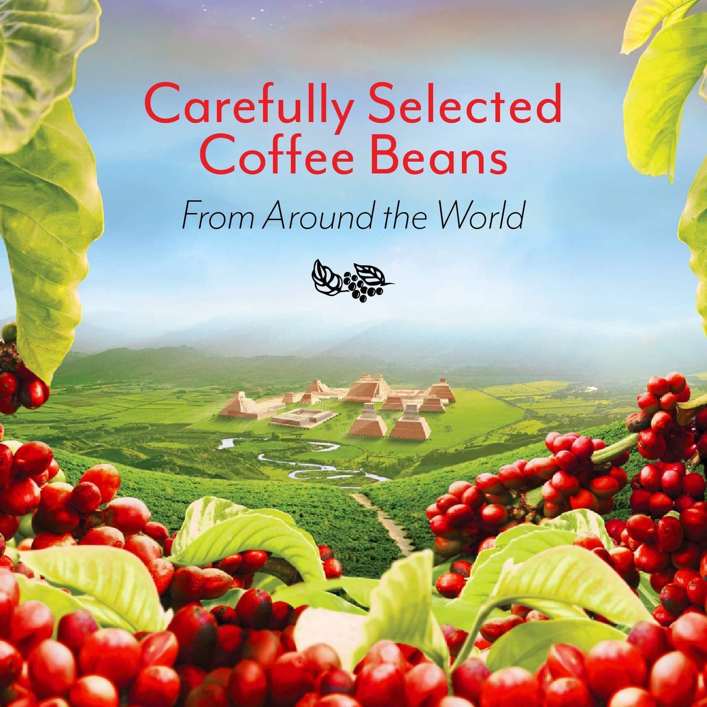 Eldorado Coffee Roasters Finely Ground Dark Roast Espresso - Caf   Eldorado Espresso - 9Oz Brick - Espresso Roast - Central And