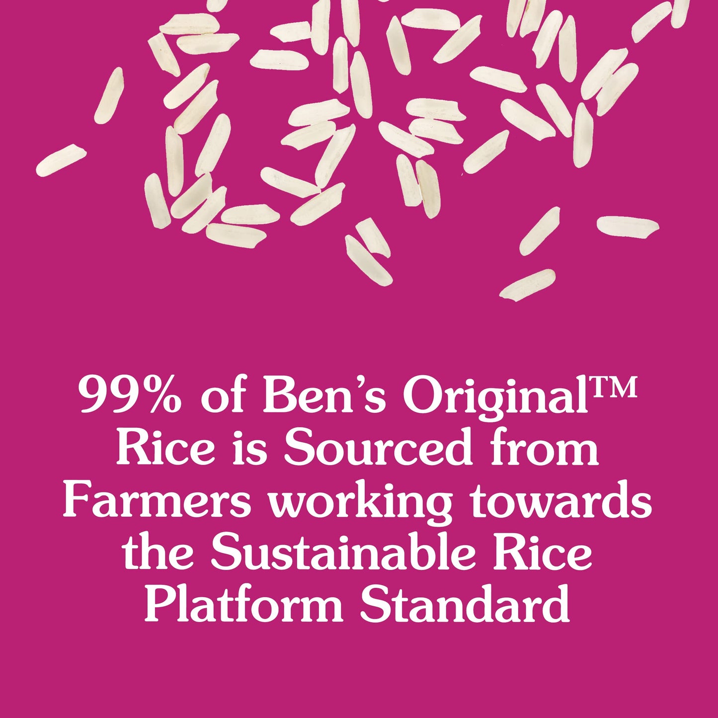 BEN'S ORIGINAL Ready Rice Rice Pilaf Flavored Rice, Easy Dinner Side, 8.8 oz Pouch