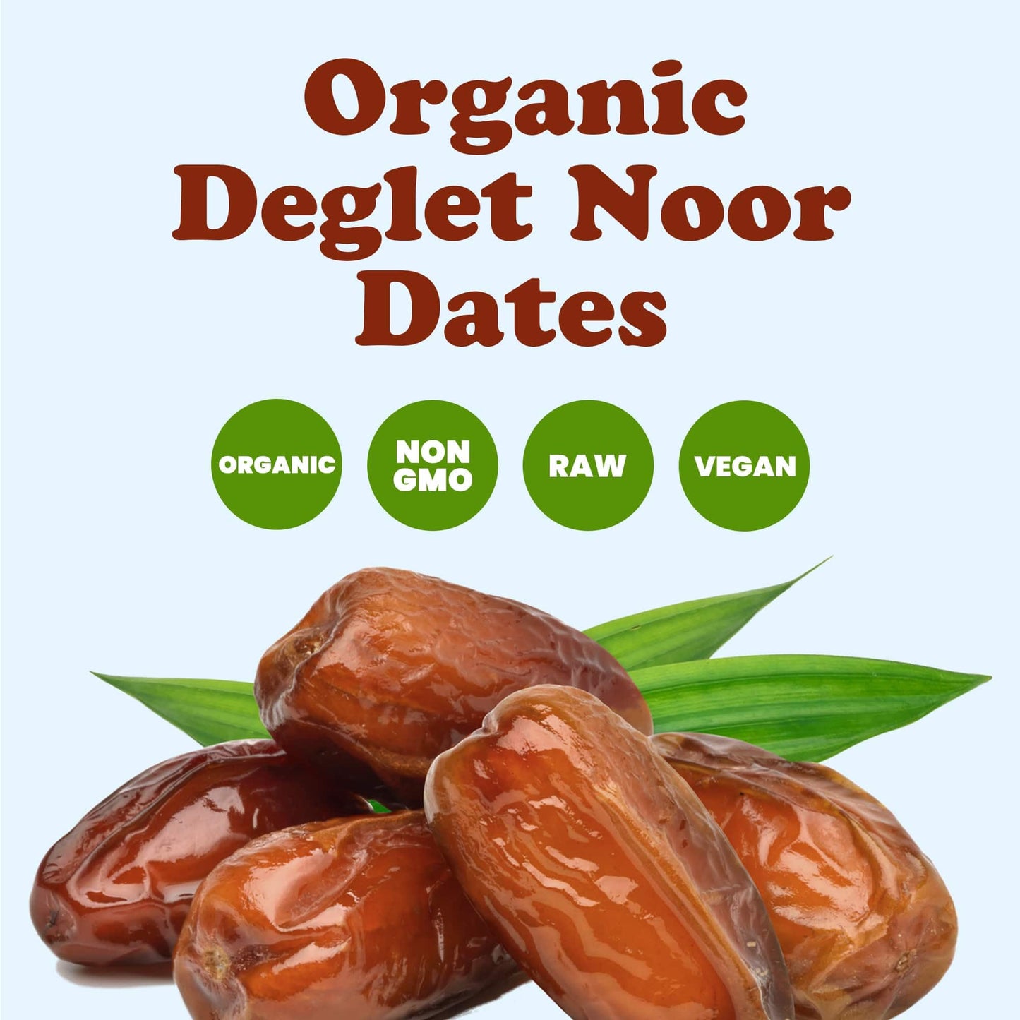 Food to Live Organic Deglet Noor Dates, 1 Pound - Pitted, Non-GMO, Soft & Juicy, Unsulfured, Raw, Dried Fruit, No Sugar Added, V