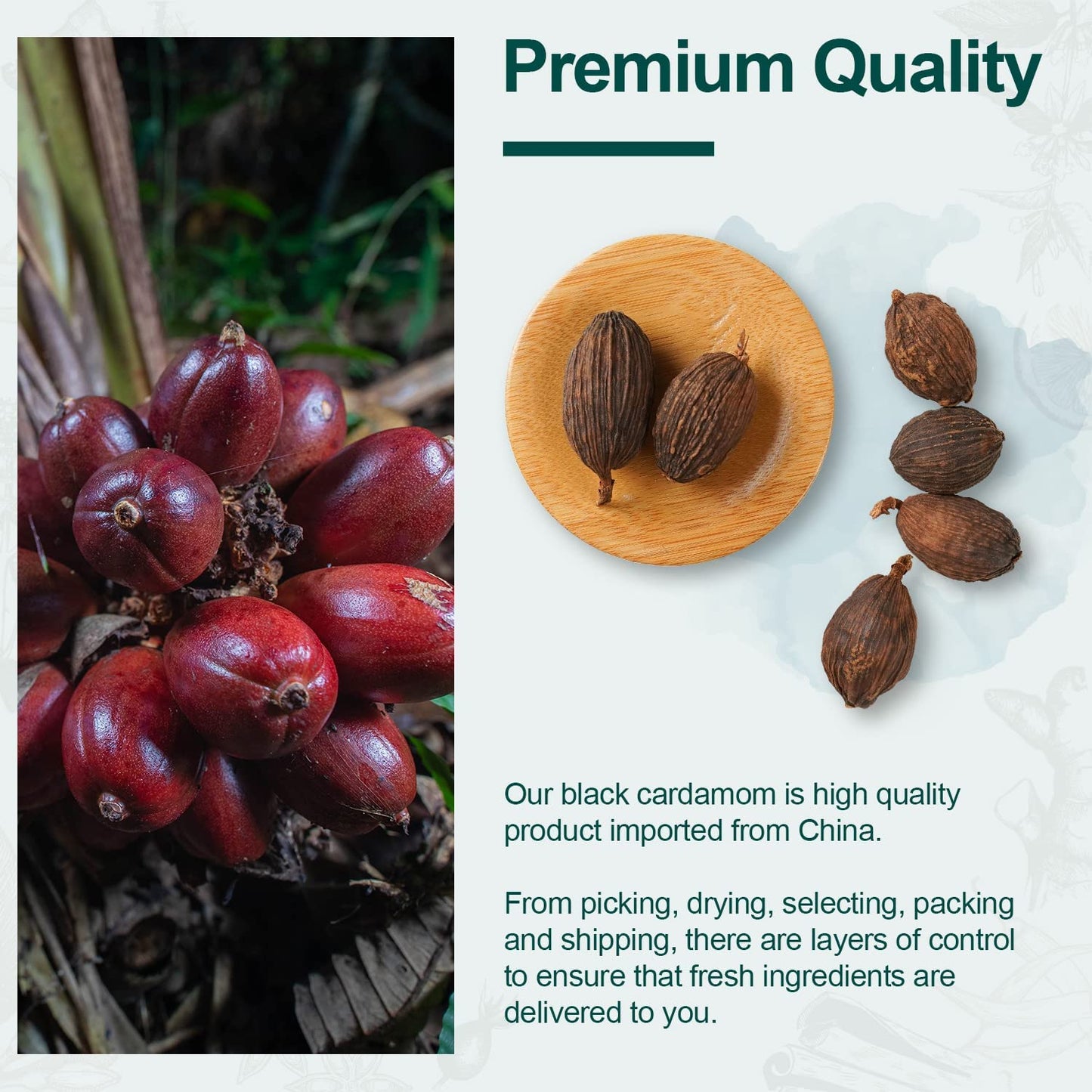 Soeos Chinese Cardamom Seeds, Amomum Tsaoko, Caoguo, 1Lb