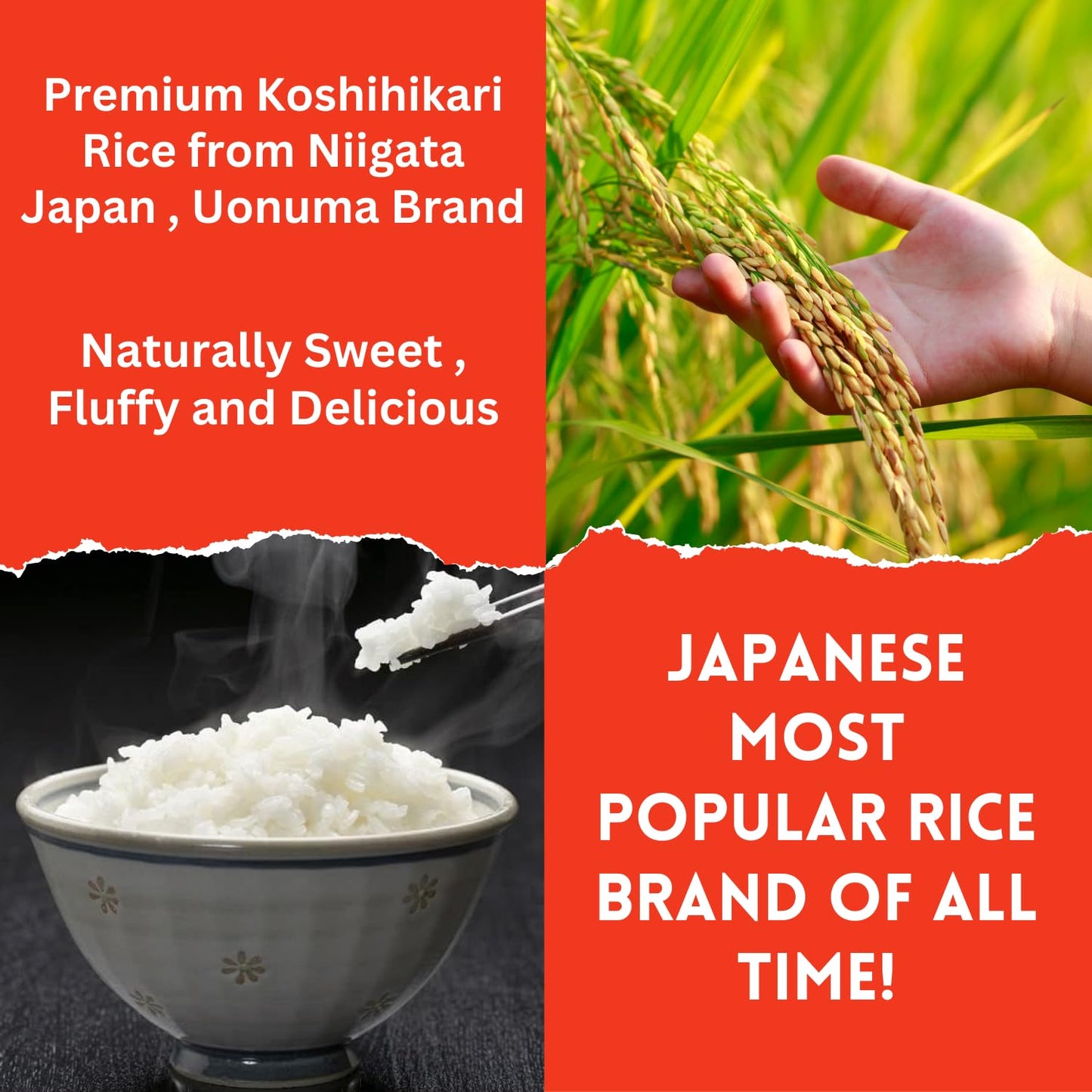Takano Koshihikari Rice, Instant Cooked Rice, Microwave Rice, White Rice,Sushi Rice, Microwavable Rice, Premium Quality, Gluten