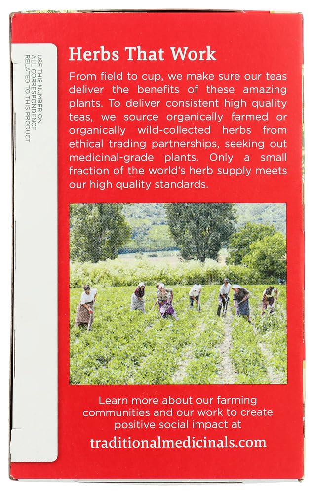 TRADITIONAL MEDICINALS HERB TEA,OG3,GYPSY CLD CR, 16 BAG - Pack of 6