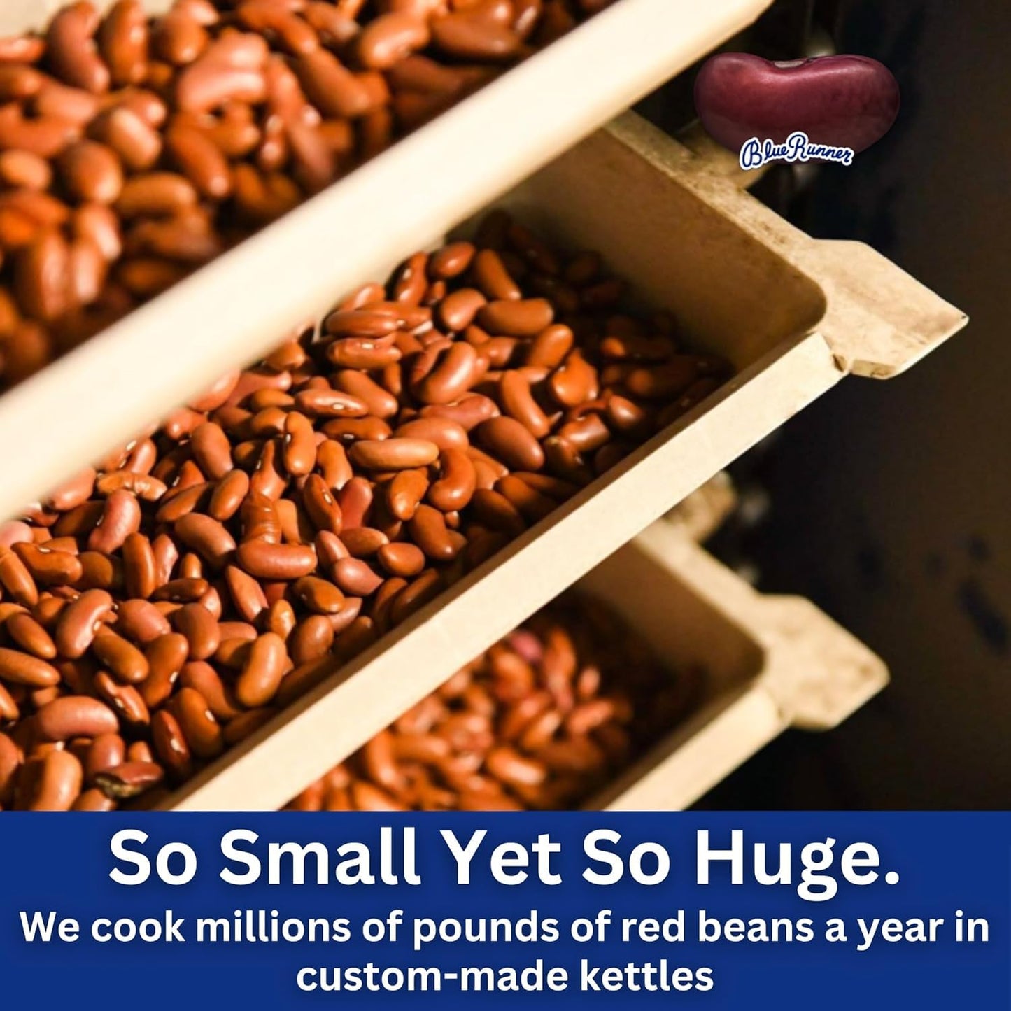 Blue Runner Creole Cream Style Red Beans, 16-Ounce (Pack of 12)