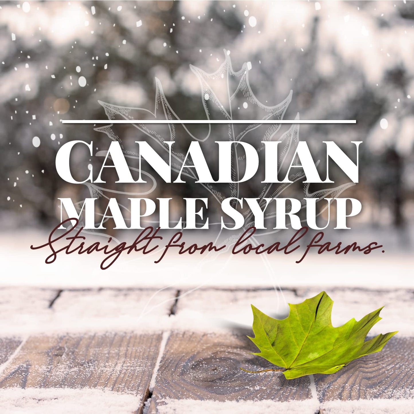 Brien Maple Butter | Soft Spreadable Maple Cream | Vegan, Paleo Maple Butter Contains No Milk | Made With Grade A Pure Maple Syr