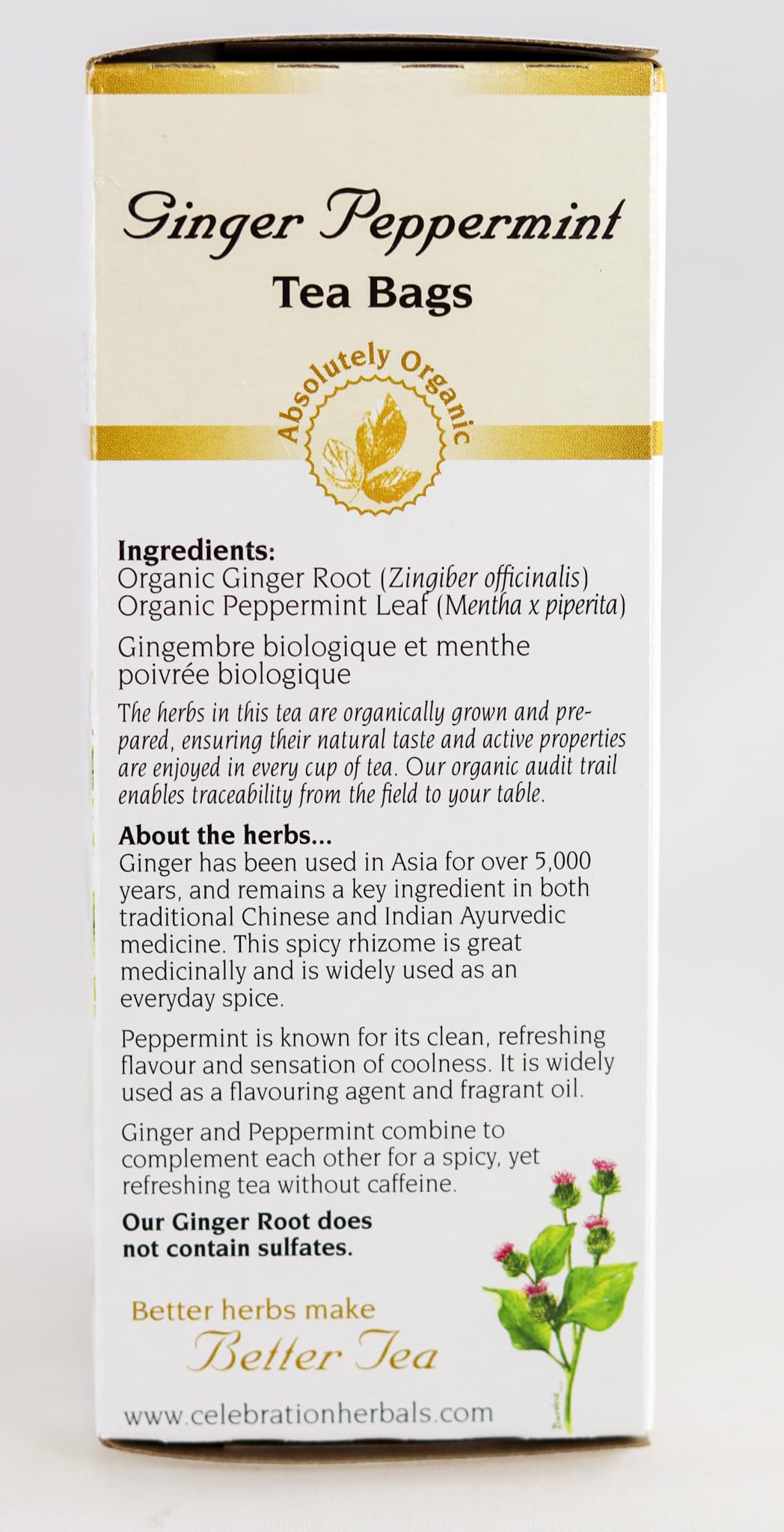 Celebration Herbals Ginger Peppermint Tea - 24 Count (Pack of 1)