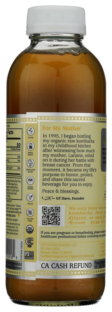 Synergy Kombucha Pure, Organic 16Oz